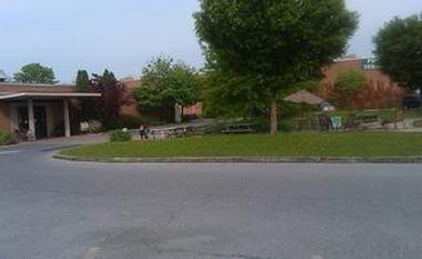Picture
